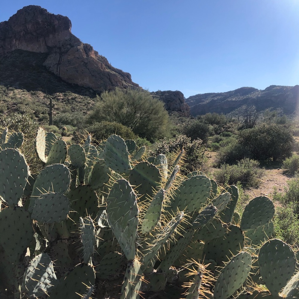 Meet your Posher, Samantha